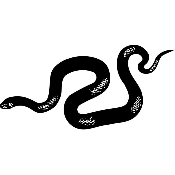 SNAKE013 Thumbnail